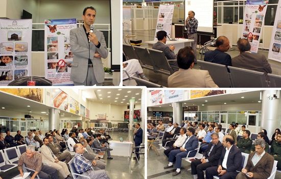 مركز بهداشت شهرستان بيرجند